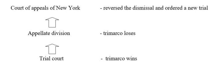 Trimarco v klein case brief