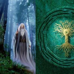 Tuatha de danann family tree