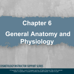 Milady chapter 2 anatomy and physiology workbook answers