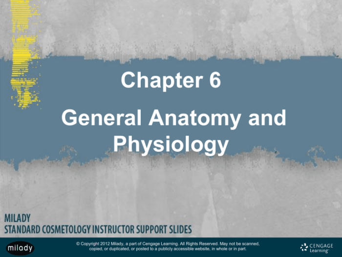 Milady chapter 2 anatomy and physiology workbook answers