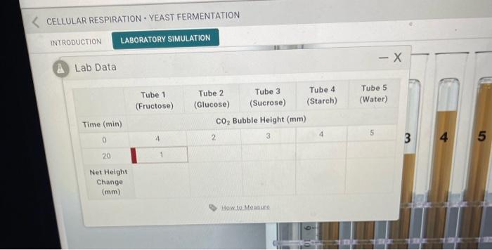 Cellular respiration yeast fermentation lab answers mcgraw hill