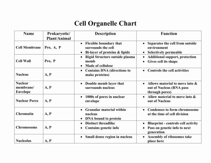 Organelles cell animal their functions exploringnature various biology organelle structure cells notes science function parts pdf worksheet model produce quiz